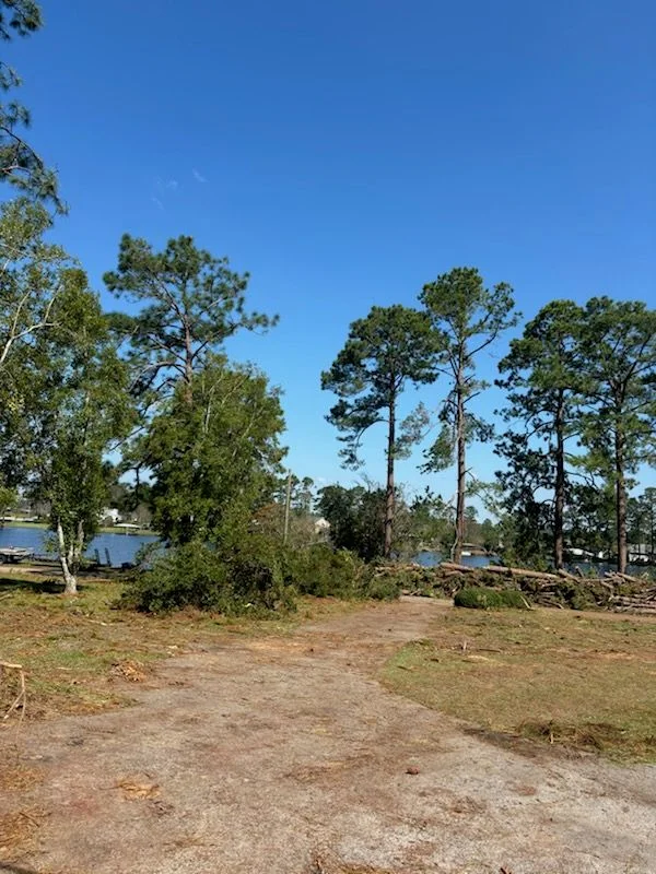 Professional tree removal and trimming equipment on a residential property in Ocala