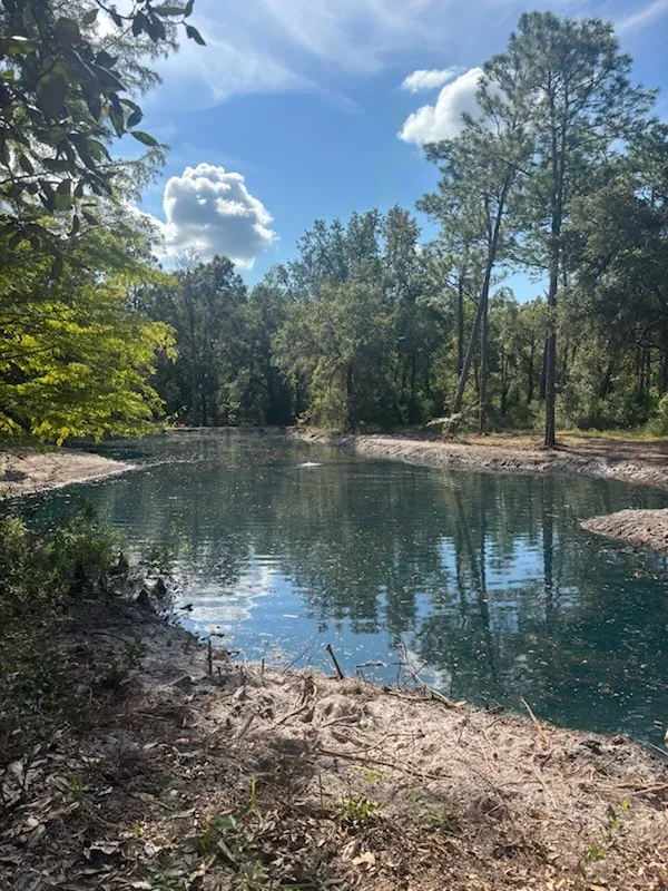 Cleared riverbank with sandy beach, mature trees, and calm water after demolition and debris removal