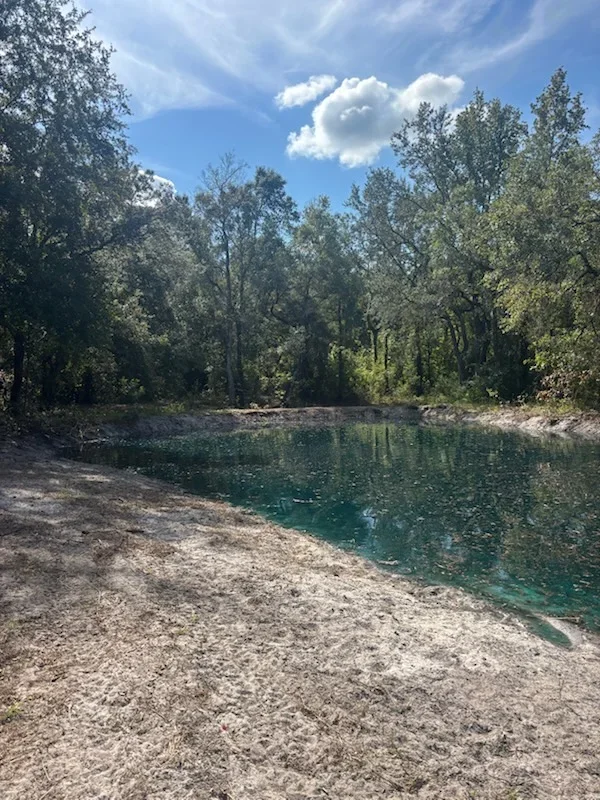 Cleared riverbank with sandy beach, mature trees, and clean water access