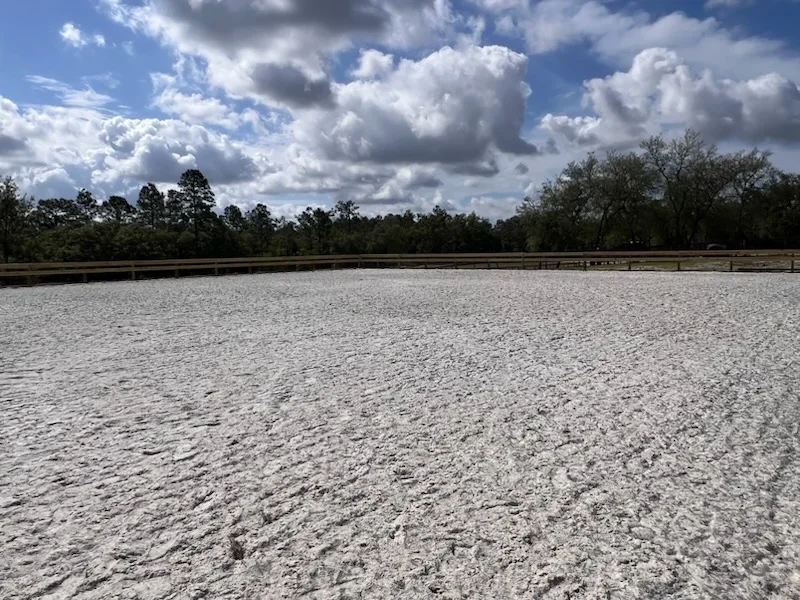 Cleared gravel lot with perimeter fencing and tree line in background