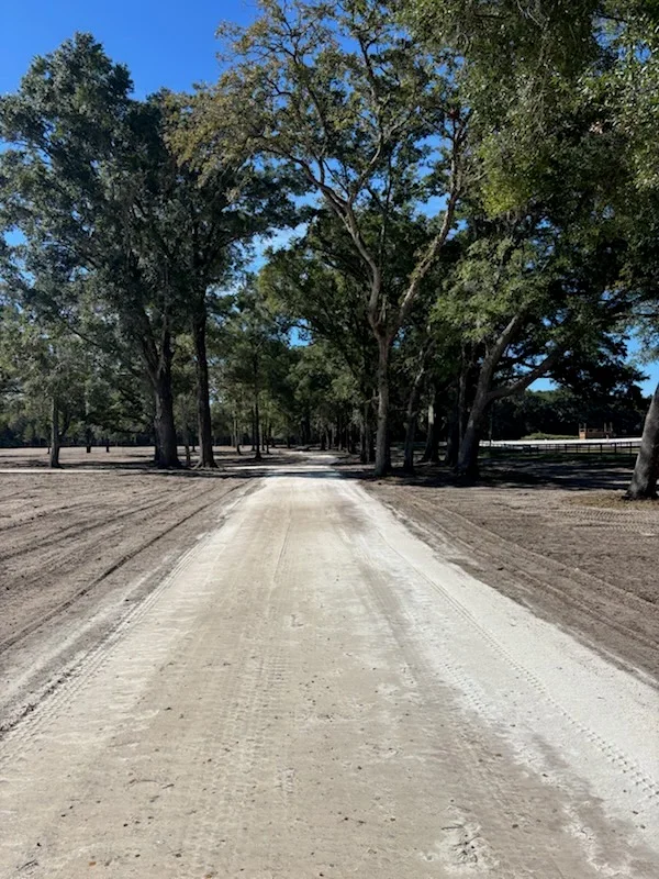 Graded gravel driveway with mature oak trees and white ranch fencing
