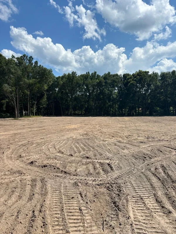 Cleared and graded dirt lot with tree line in background and grading marks visible across soil