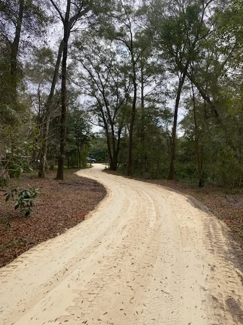 Gravel driveway winding through cleared wooded property with mature trees