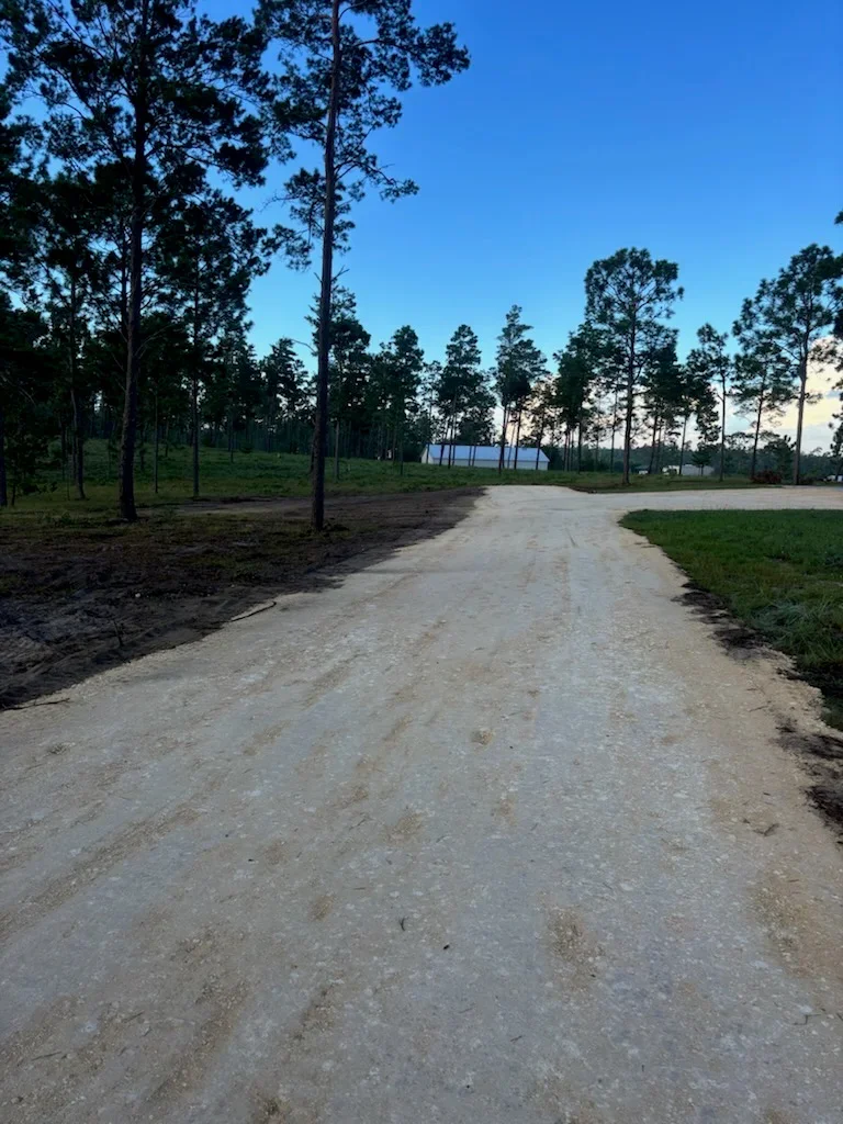 Gravel driveway through cleared wooded lot with retained pine trees and new sod