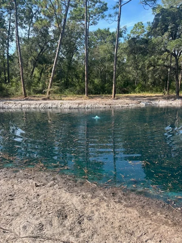 Cleared riverbank with sandy beach, mature trees, and clean water access