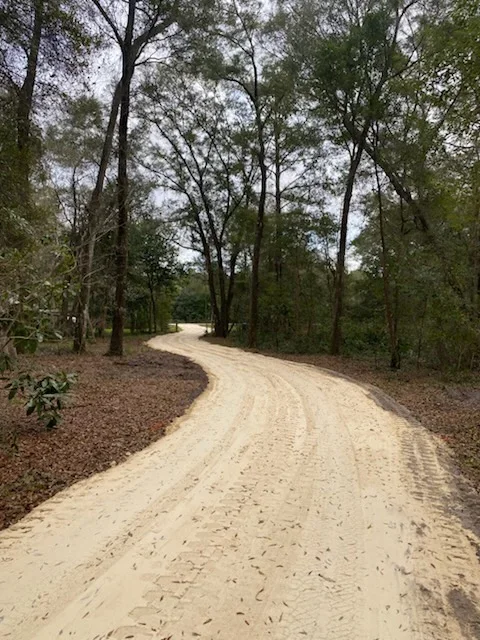 Curved gravel driveway through wooded area with cleared shoulders and mature trees