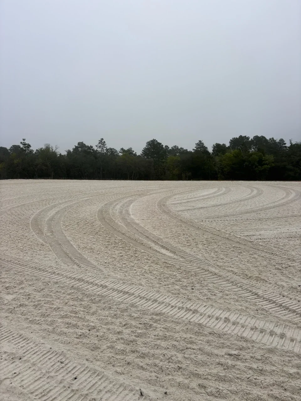 Cleared and graded land with machinery tracks, tree line in background