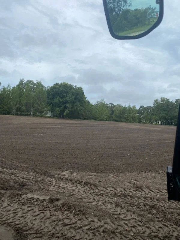 Cleared dirt lot with graded soil and tree line in background