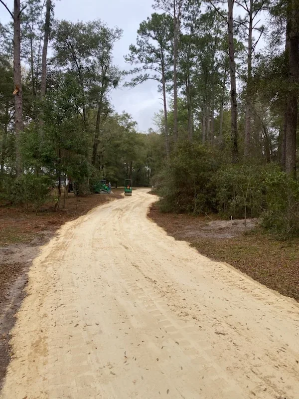 Newly excavated gravel driveway through wooded area with mature pine trees on both sides